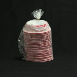 Emesis Vomit Bag Single