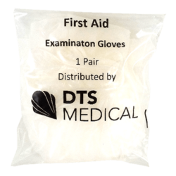1 Pair Size XL Examination Gloves Vinyl
