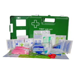 Kitchen, Food & Catering First Aid Kit Small In Green Wall Mount Plastic Box